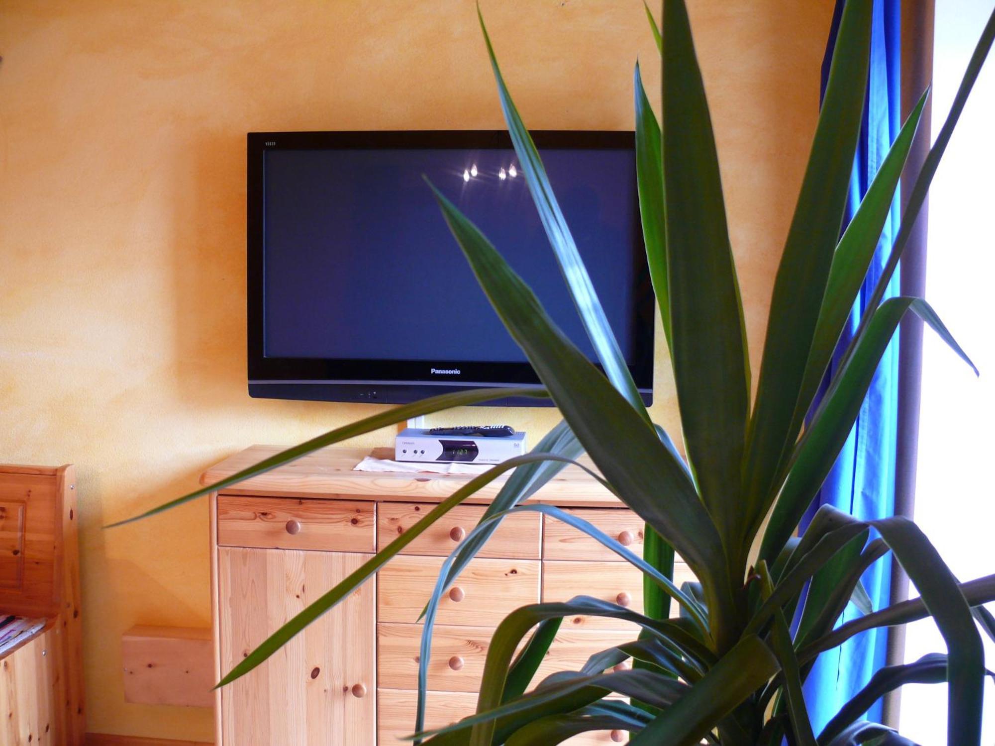 Apartment Seegartl