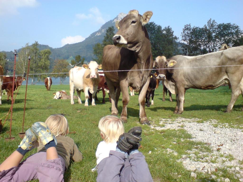 Seegartl Fuschl am See